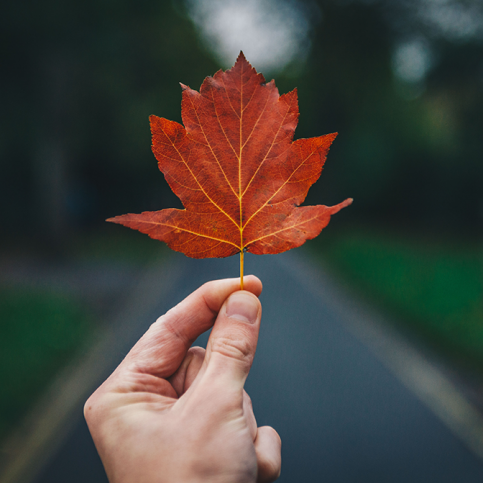 luke-porter-420751-unsplash